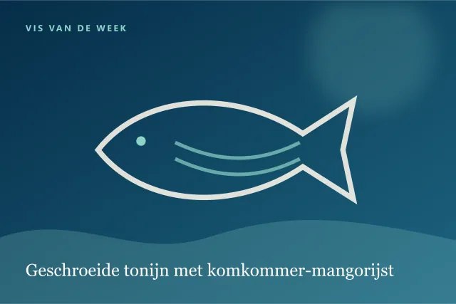 Donkere digitale serveersuggestie bij Geschroeide tonijn met komkommer-mangorijst.