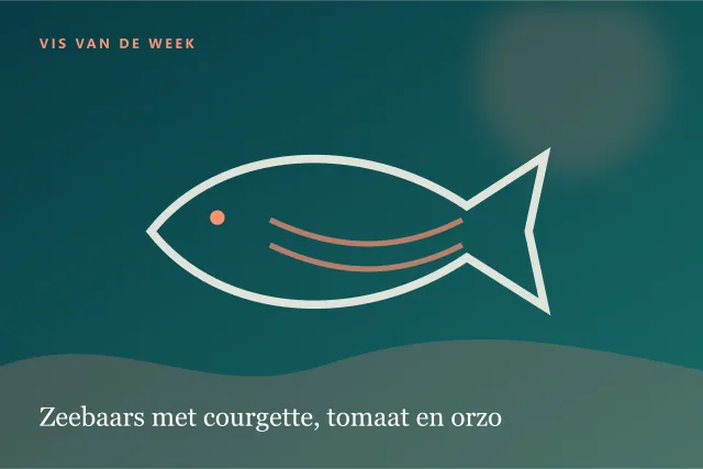 Donkere digitale serveersuggestie bij Zeebaars met courgette, tomaat en orzo.